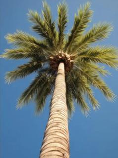 Citycomfortluanda - Luanda - 7