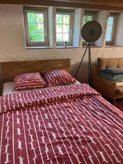 Charming alps apartment perfect for walk/cycle/ski - Eschenbach - 3
