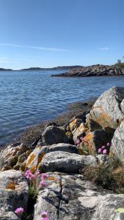 Cabin with great sea view on Flekkerøy Kristiansand - Kristiansand - 9