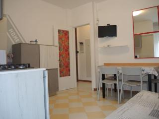One-bedroom flat with balcony and AC - 3