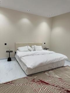 Elegant hall apartment with self check-in - Riyad - 4
