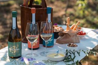 Villa Seara - Casas da Vinha - 3