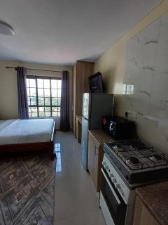 Stylish Studio Apartments, StadeView Apartment - Nairobi - 8
