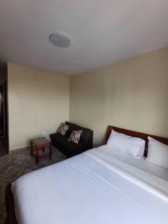 Stylish Studio Apartments, StadeView Apartment - Nairobi - 5