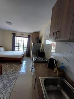Stylish Studio Apartments, StadeView Apartment - Nairobi - 1