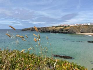 Apartment T3, sea view, swimming pool- Casa do Mar - Zambujeira do Mar - 1
