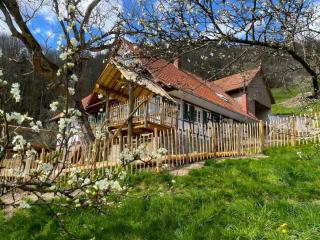 Ferienhaus Ottenhöfen - Sauna | Hot Tub - Ottenhöfen im Schwarzwald - 0