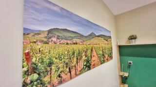 Splendide Studio Centre Colmar - Colmar - 1