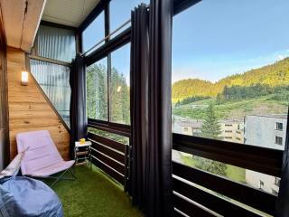Appart 313, au pied des pistes de ski avec superbe vue - La Bresse - 0