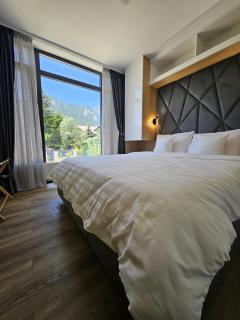Diamond Resort Busteni - Buşteni - 7