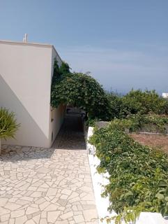 Casa Macchie - Morciano di Leuca - 9