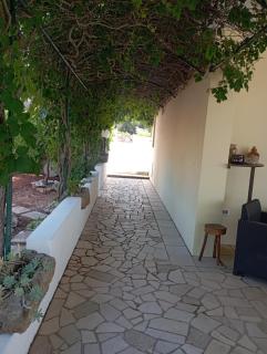 Casa Macchie - Morciano di Leuca - 7