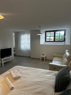 Studio with a view of Lake Geneva - Veytaux - 8