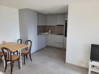 Studio with a view of Lake Geneva - Veytaux - 2