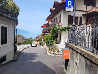 Studio with a view of Lake Geneva - Veytaux - 3