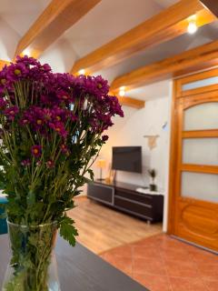 Widokowo - Apartament z tarasem i ogródkiem - Tuchom - 4