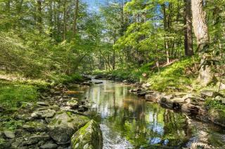 Nature Getaway - Creek, Firepit, Deck, Privacy - Delaware River - Sparrow Bush - 9