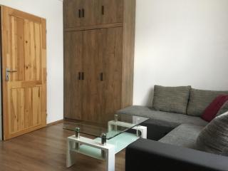 Cozy apartment in the city center - Karlovy Vary - 0