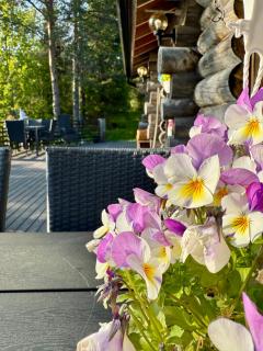 Autiojärven kelomökki 85m2 - Kuusamo - 6