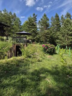 Woodland House 2 - Berezka - 5