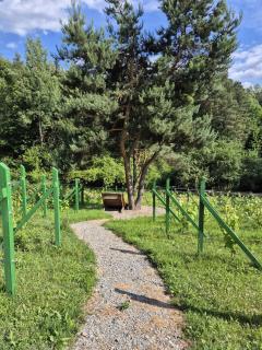 Woodland House 2 - Berezka - 3