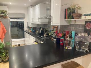 Central London Apartment near Chelsea - Londra - 3