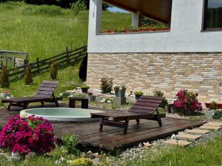 Cabana FloriDeea - Scrind-Frăsinet - 6
