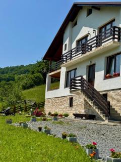 Cabana FloriDeea - Scrind-Frăsinet - 7