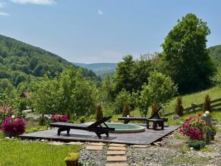 Cabana FloriDeea - Scrind-Frăsinet - 8