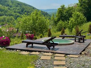 Cabana FloriDeea - Scrind-Frăsinet - 9