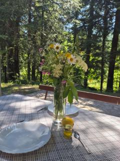 Kuća za odmor Carpe Diem - Bosanski Petrovac - 7