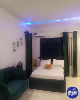 5 Bedrooms and 5 Bathrooms Luxury Duplex With Private Swimming Pool - Lagos - 7