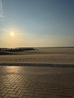 Veldtijm - Koksijde - 1