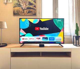 Detente et Confort, proche Gare RER D, CDG, Astérix - 2