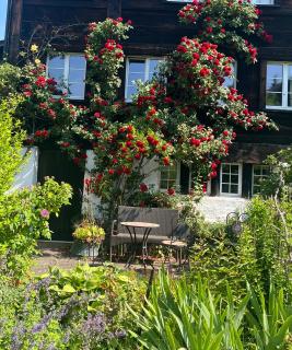 Charming alps apartment perfect for walk/cycle/ski - Eschenbach - 7