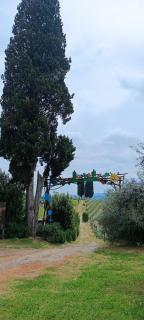B&B TERRA DI COLLINA - Montegrosso dʼAsti - 7
