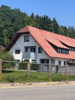 Ferienhaus in Seenähe - Mengen - 0