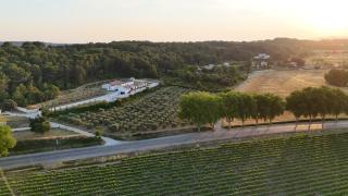 Noyau & Pepin - Rognes - 9