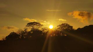 Casita Canto del Bosque Monteverde - 9