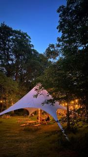 SENSI - glampingtenten midden in de bossen - 5