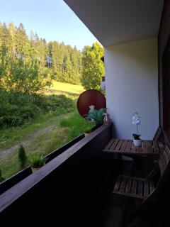 Ferienwohnung am Bischofsberg - Edlbach - 2