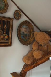 Apartmani Kačara - 1