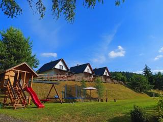 Bieszczadzki Bohater Domki 533-502-137 - Polańczyk - 9