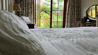 Lucys Hidden Garden - Knysna - 1