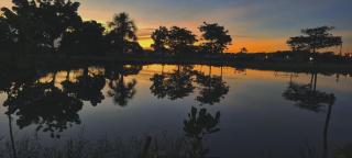 Eco Hotel Sol Del Bosque - Iquitos - 9