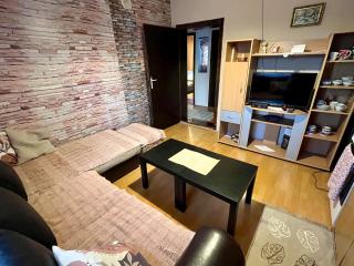 Apartman Jovičić Banja Vrujci - Gornja Toplica - 8