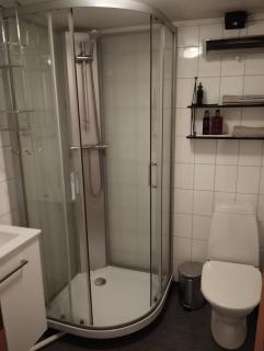 Spacious, quiet and cosy apartment near Kongeparken & Pulpit Rock - Ålgård - 2