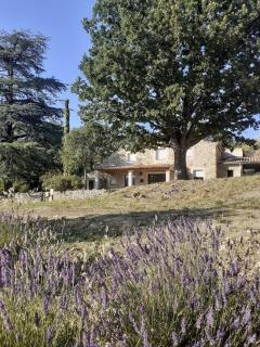 La Maison du Verger, Provence and quiet countryside - - 2