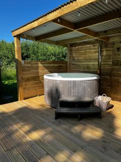 Shepherds Hideaway - Holsworthy - 9