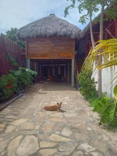 Hostal La Cueva del Grifo Loco surf&Bikers - Miramar - 8